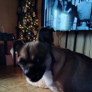 Meet your Posher, Carolyn